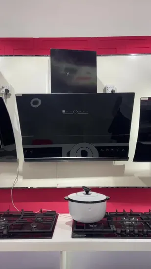 High Quality Cheap Low Price Ss Wall Mounted Chimney Under Cabinet Touch Control Cooker Slim Range Hoods