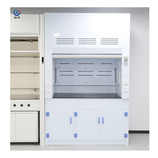 Lab Vent Laboratory Ventilation Fume Hood System for Pharmaceutical Laboratory ...